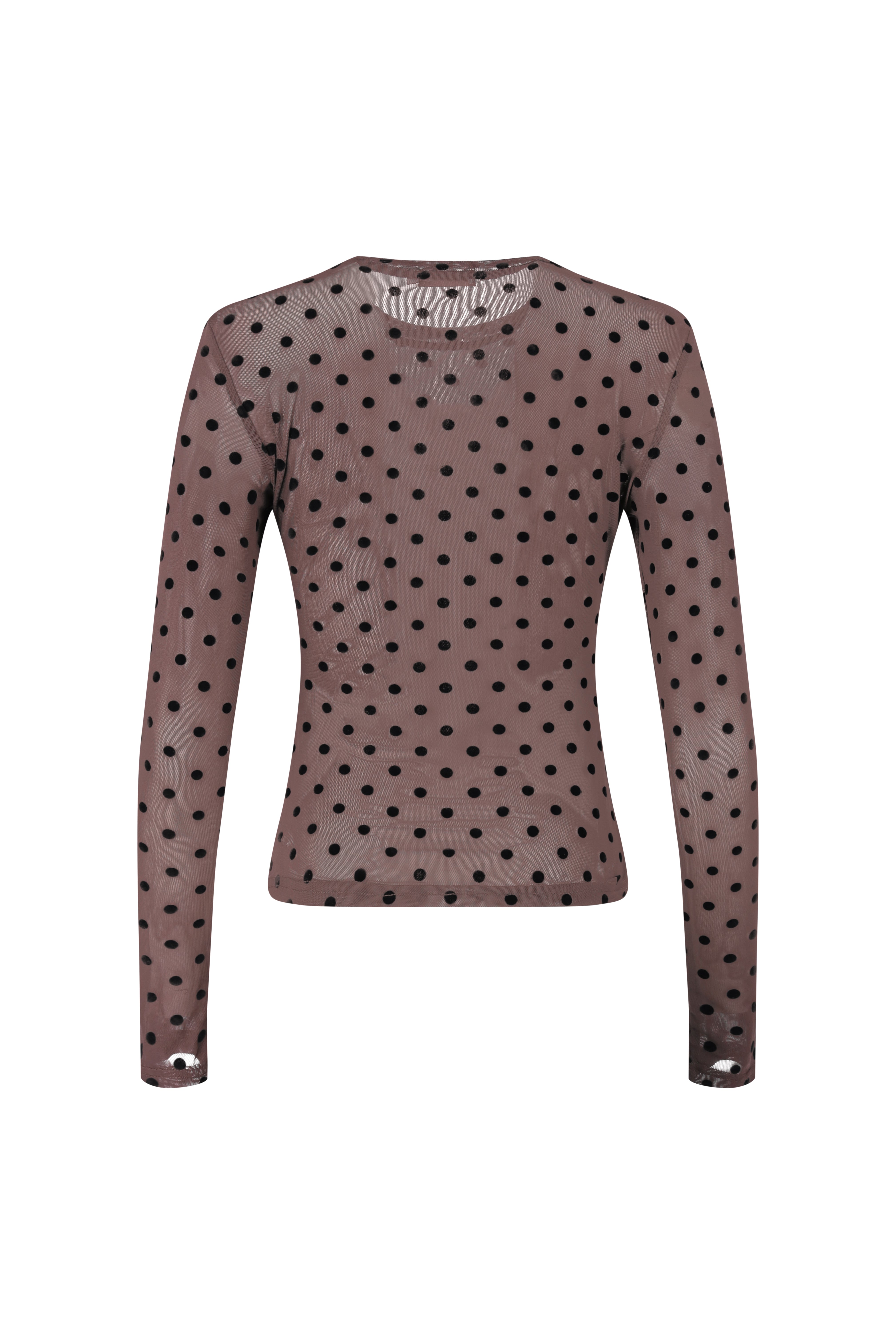 Mesh Polkadot Long Sleeve Top - Brown