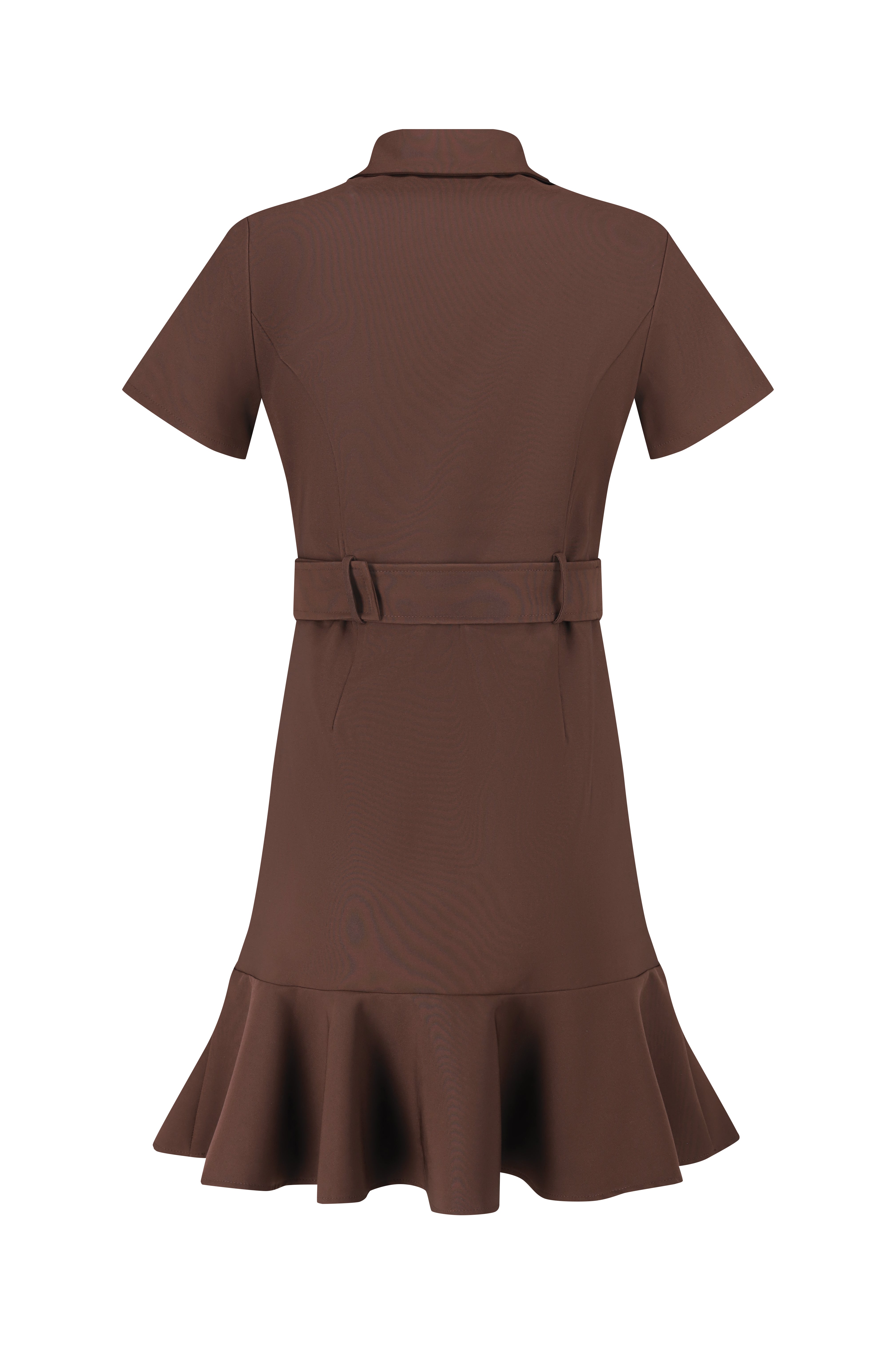 Short Sleeve Belted Dress Brown